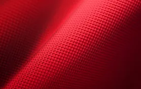 NYLON image